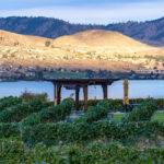 Autumn colors in Chelan, Washington